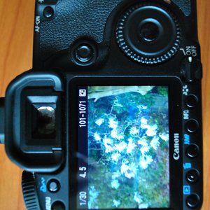 Canon Semi-Pro EOS 40D, as New 22k shutter clicks, body only